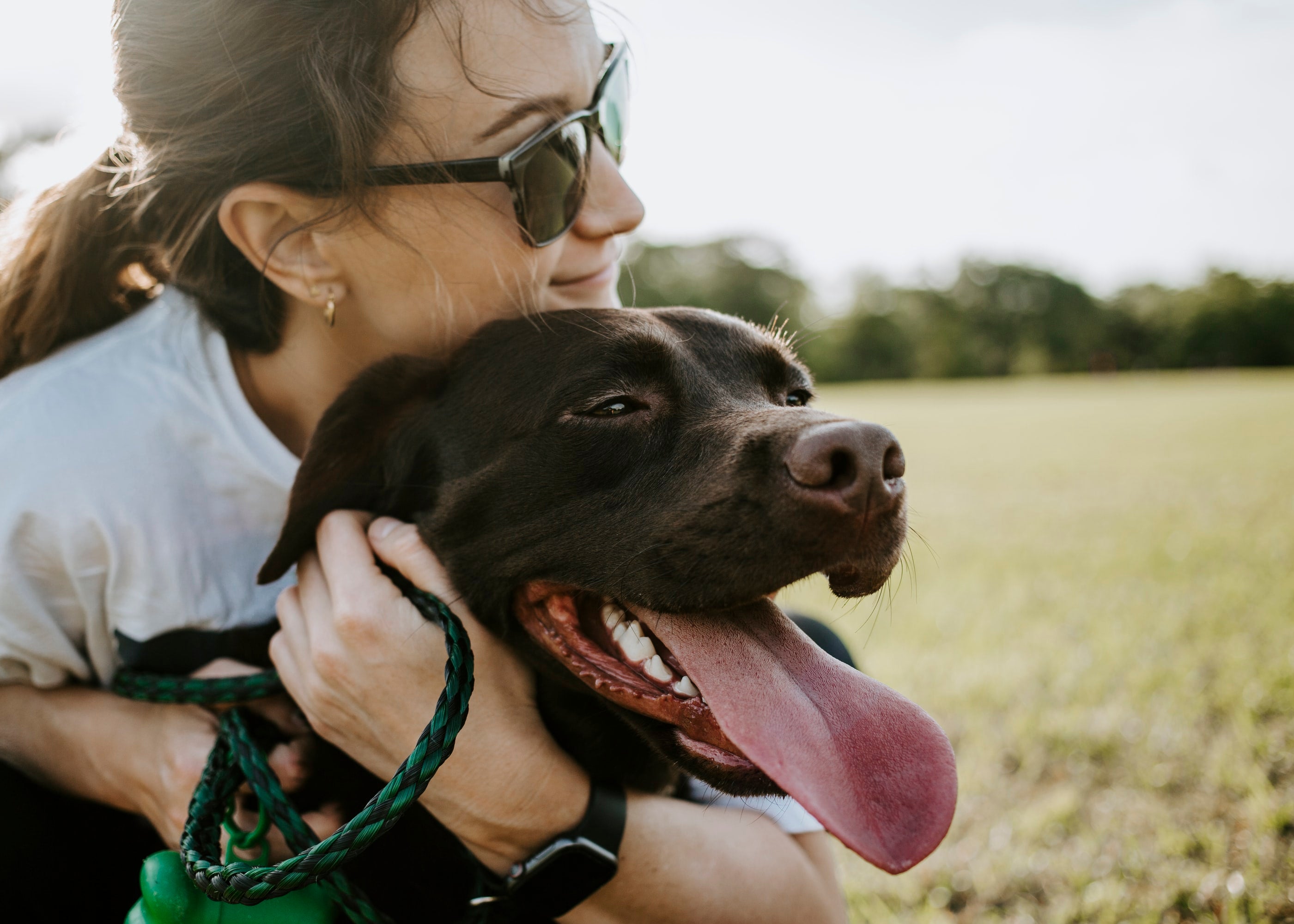 what-do-therapy-dogs-do-time-for-paws-time-for-paws