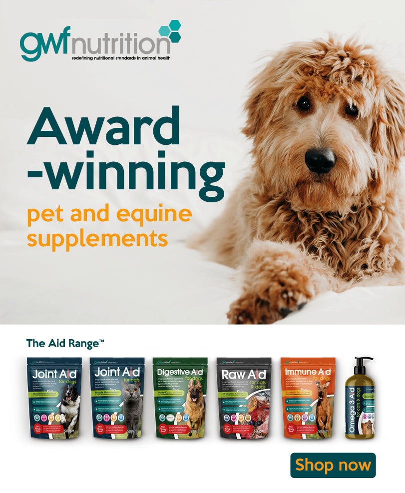 Gwf joint outlet aid for dogs