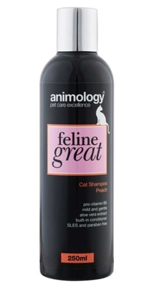 Feline shampoo hotsell