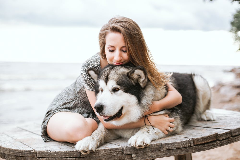 Do Dogs Like Hugs | Time For Paws – Time for Paws