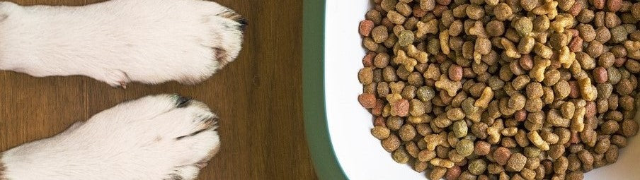 Dry Dog Food