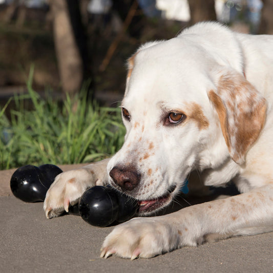 Kong Black Extreme Goodie Bone