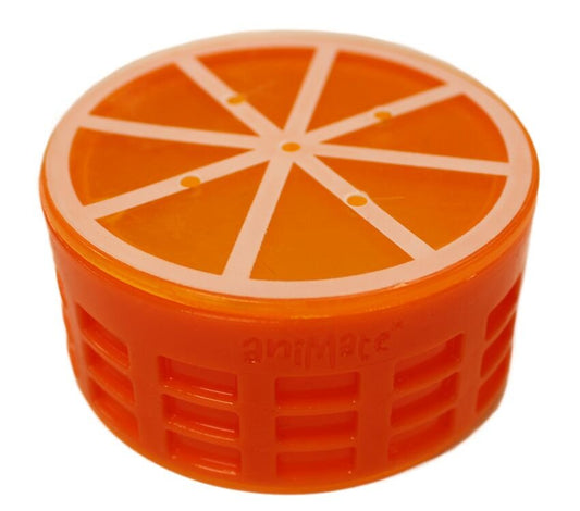 Animate Cooling Fruit Dog Toy - Orange