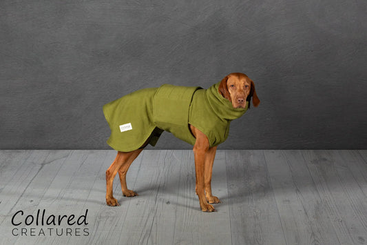 Collared Creatures Green Perfectly Practical Dog Drying Coat