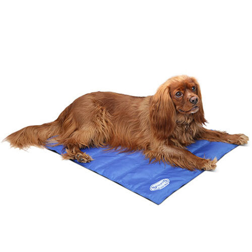 Scruffs Cool Mat For Dogs