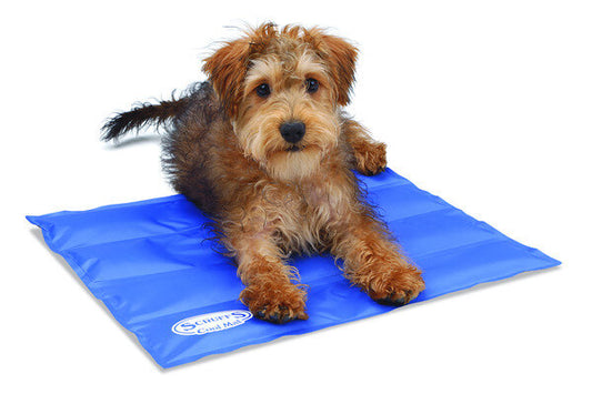 Scruffs Cool Mat For Dogs