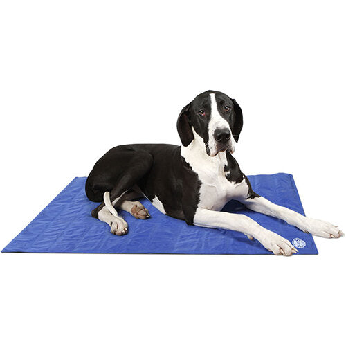 Scruffs Cool Mat For Dogs