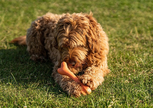 Great & Small Rubber Bone