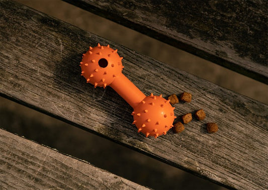 Great & Small 99% Natural Rubber Dumbell Dog Toy