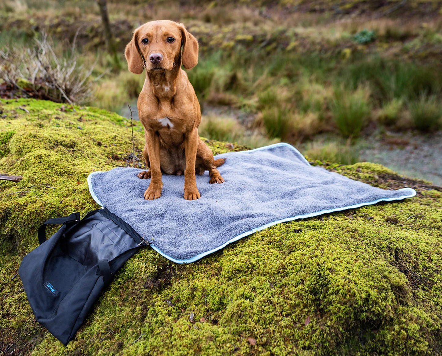 Henry Wag Easy-Roll Travel Pet Bed