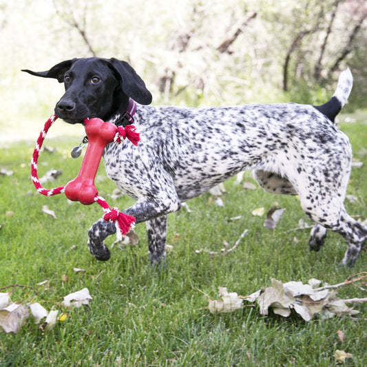 Kong Goodie Bone With Rope Red