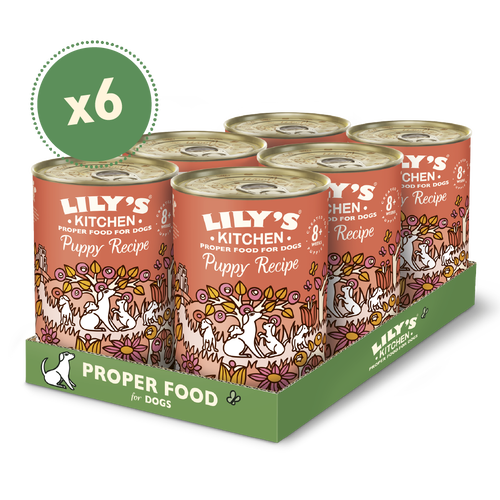 Lily's Kitchen Puppy Recipe 8+ weeks Chicken Recipe 6x400g cans