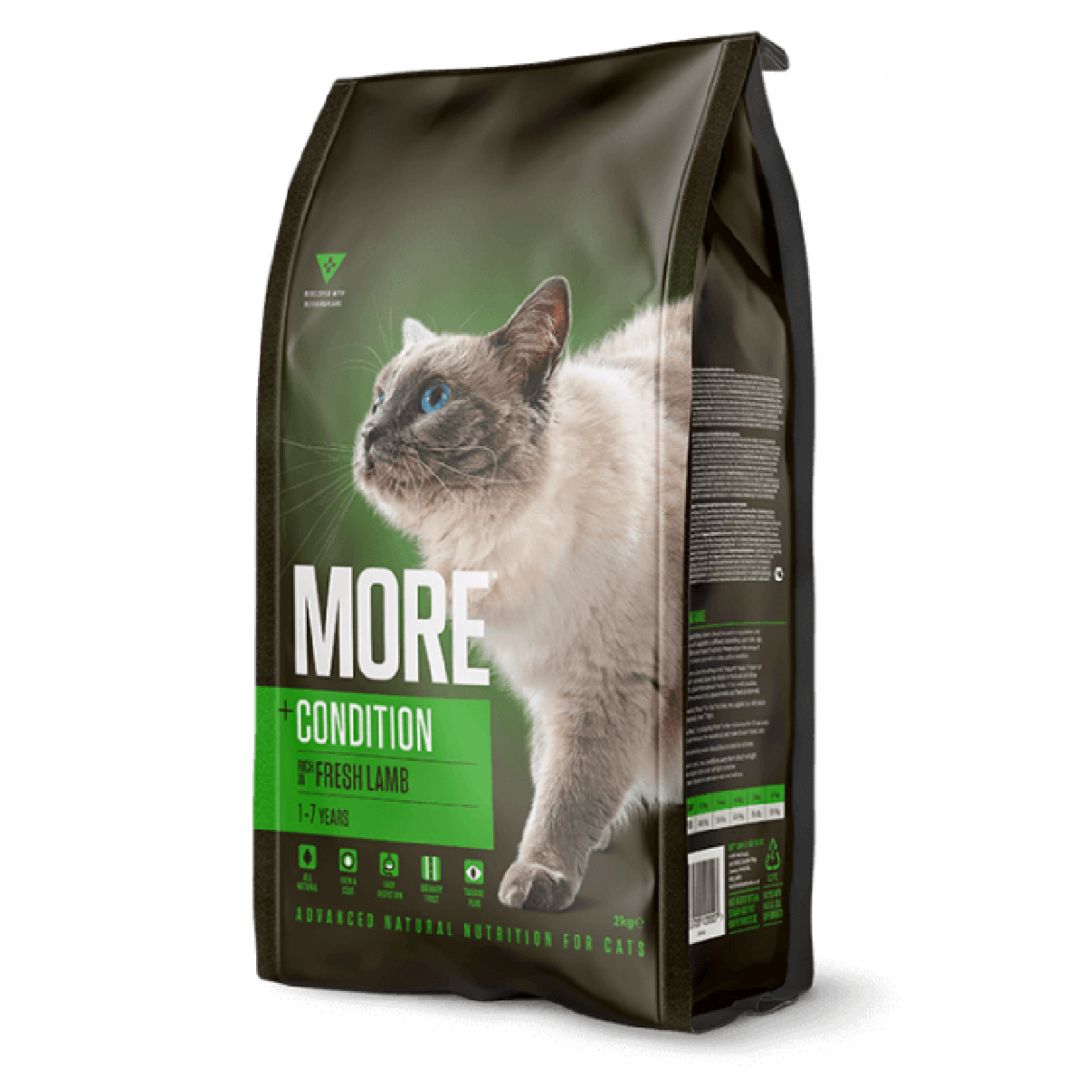 MORE Condition Lamb Adult Cat Dry Food 2kg