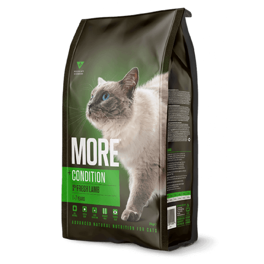 MORE Condition Lamb Adult Cat Dry Food 2kg