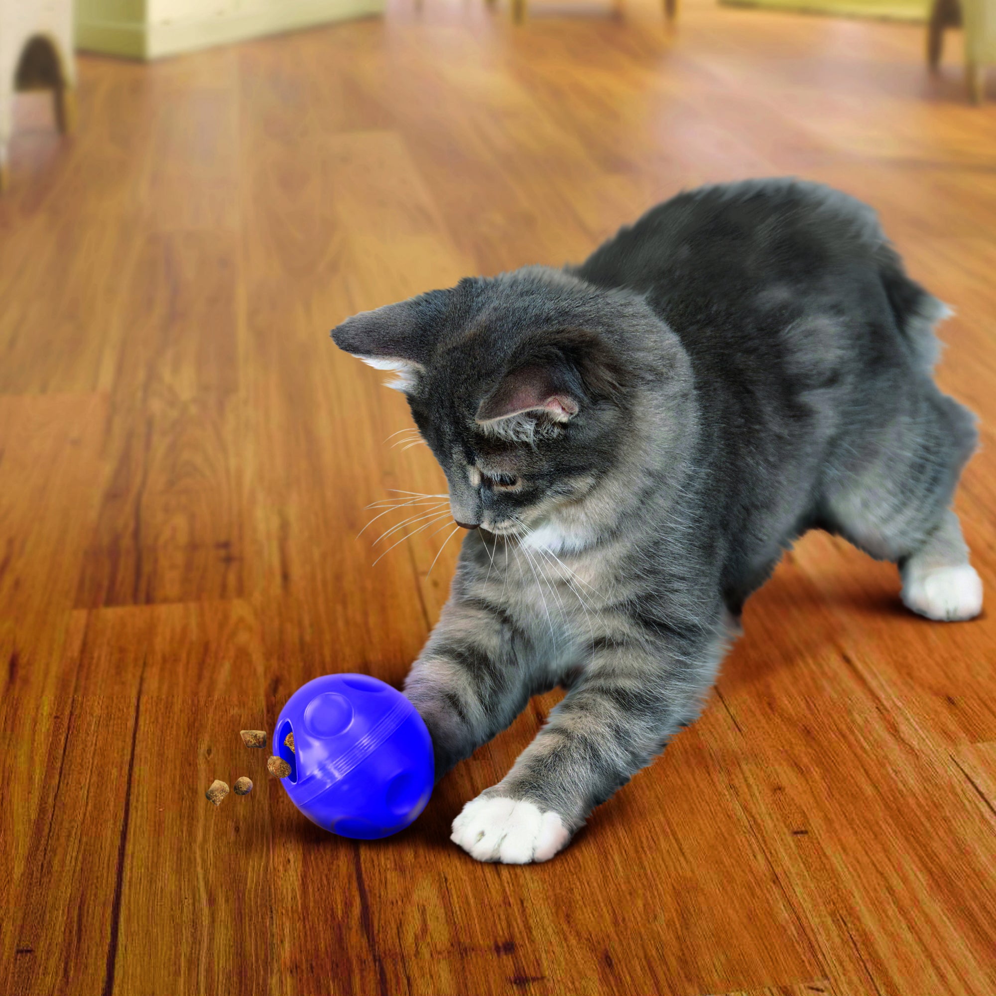 Cat store treat ball