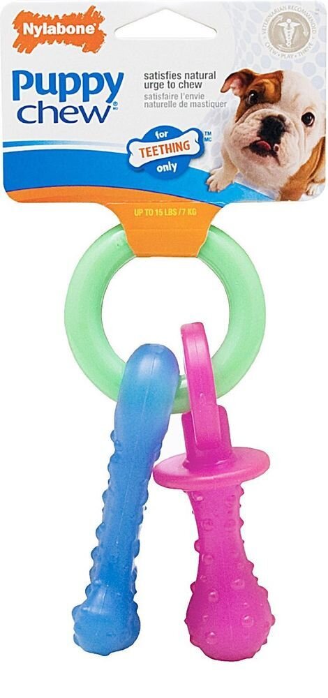 Nylabone Puppy Teething Pacifier Bacon - X-Small