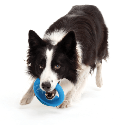 Rogz Pop-Upz Self-Right Ing Float & Fetch Toy