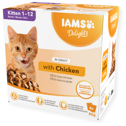 IAMS Wet Kitten Food Delights Kitten Chicken in Gravy 8 x 85g