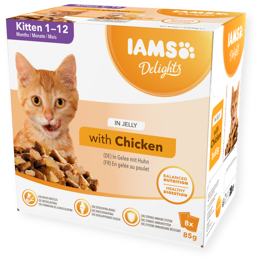 IAMS Wet Kitten Food Delights Kitten Chicken in Jelly 8 x 85g