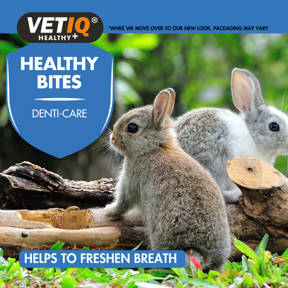 VETIQ Healthy Bites Denti-Care for Small Animals 30g - Case of 8