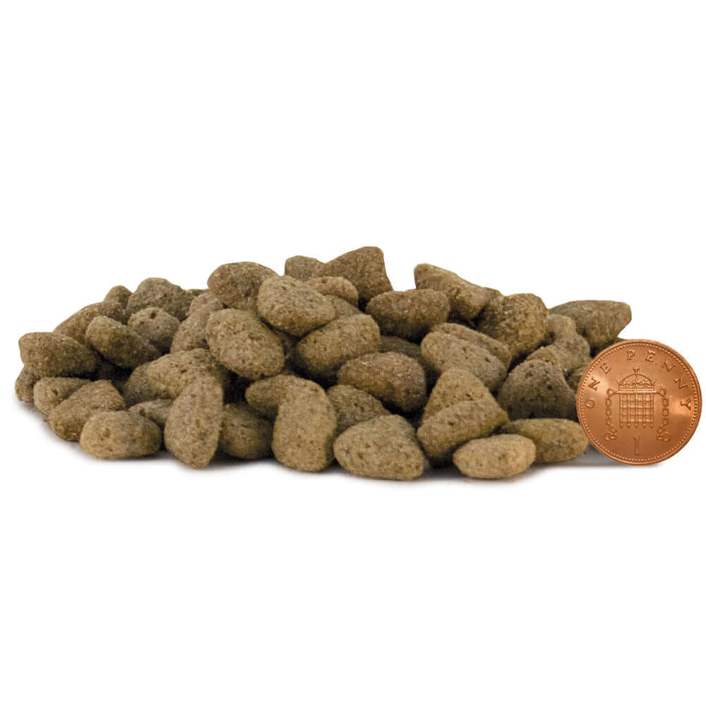 Hypoallergenic fish hot sale dog food