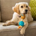 Little & Lively Soft Rabbit with Rope & Ball Dog Toy