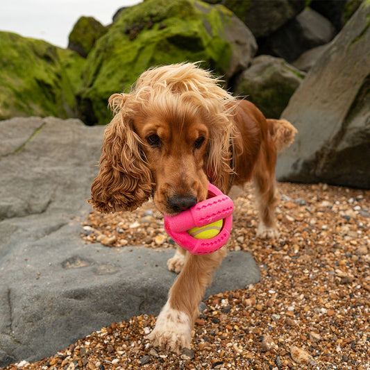 Great & Small Frubba Play Cross Ball