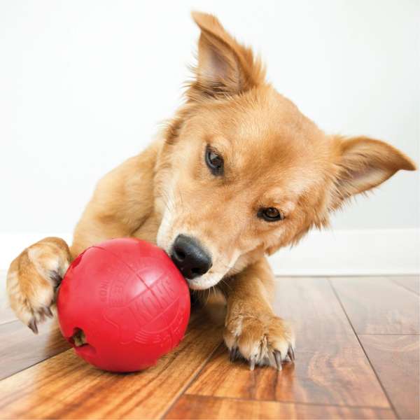 KONG Rubber Biscuit Ball Red