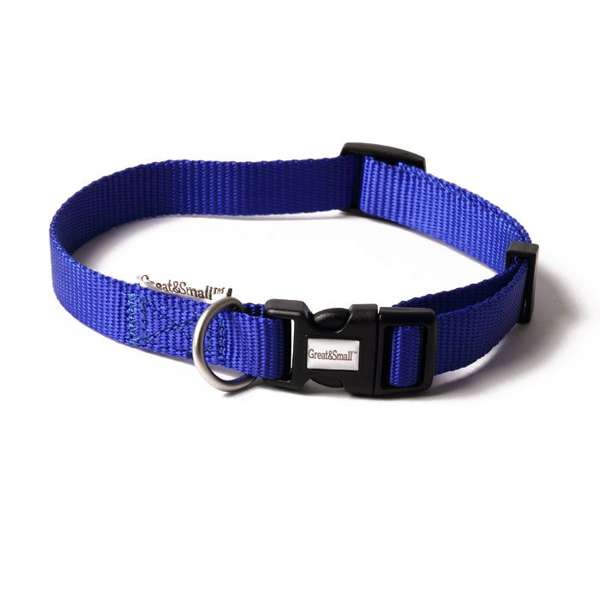 Great & sales small dog collar