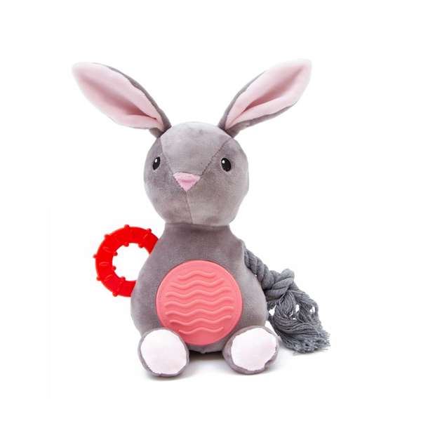 Little & Lively Plush Rabbit with Rope Dog Toy