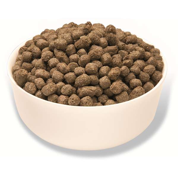 Merrick rabbit 2024 dog food